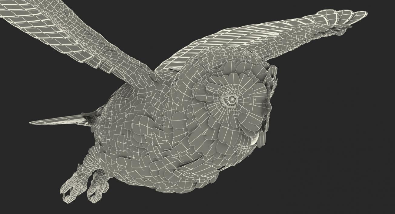 3D White Barn Owl Rigged