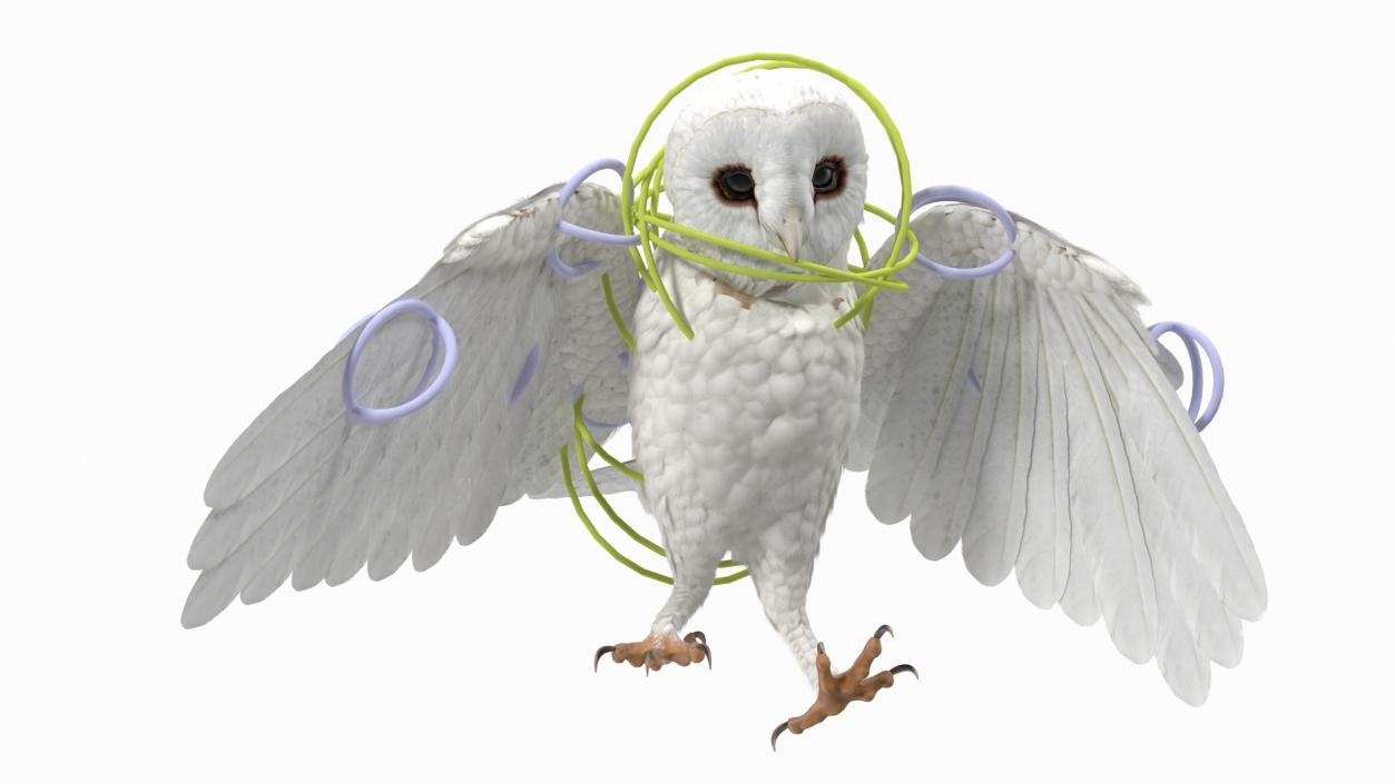 3D White Barn Owl Rigged