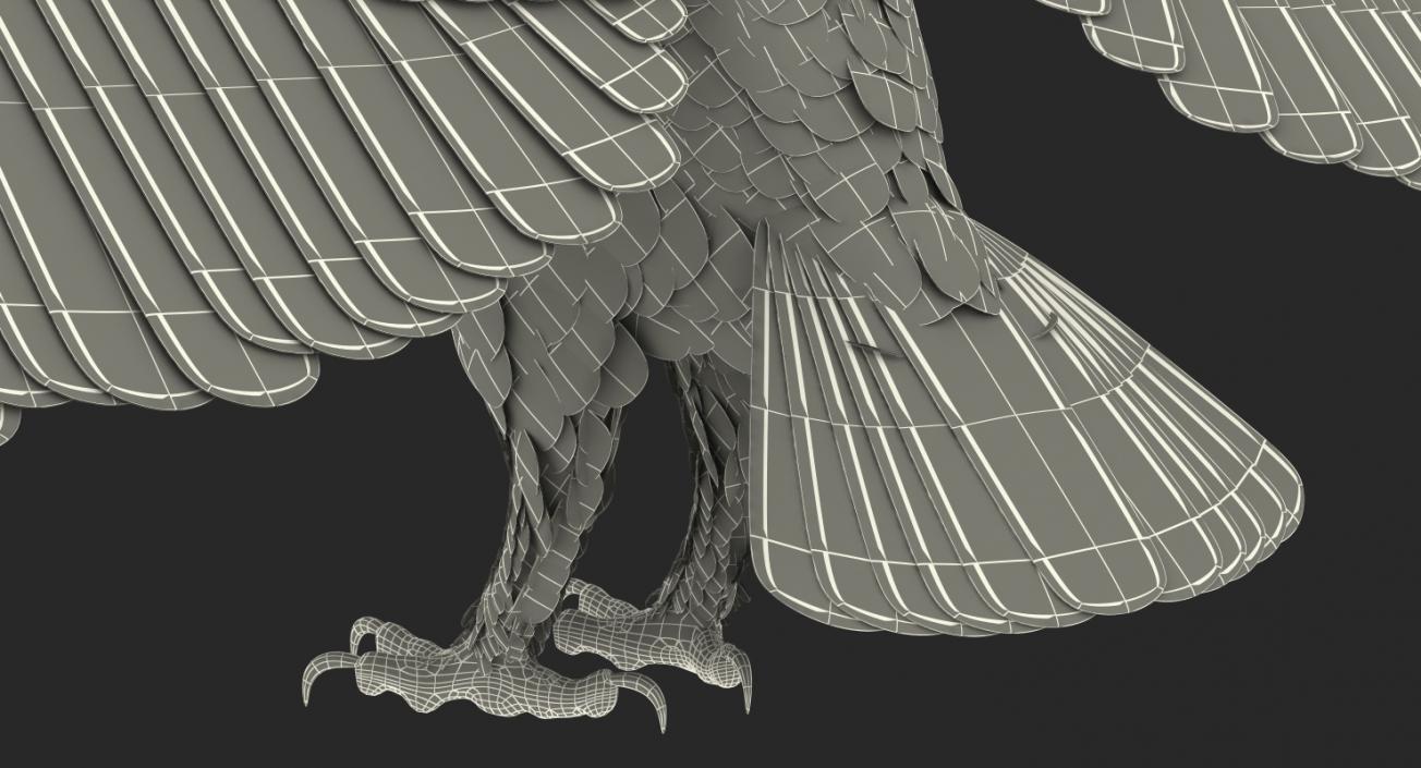 3D White Barn Owl Rigged