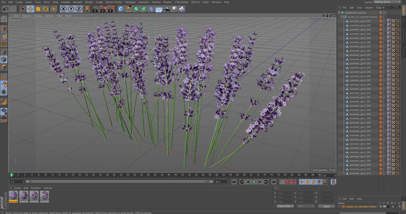 3D Cluster of Lavender Flower