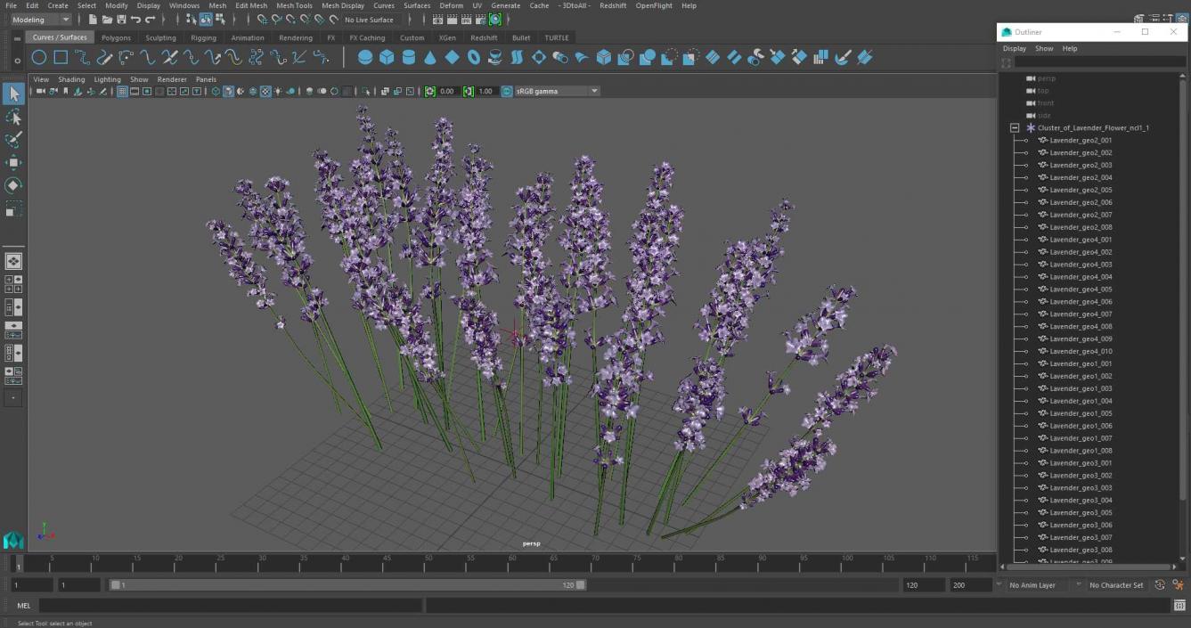 3D Cluster of Lavender Flower