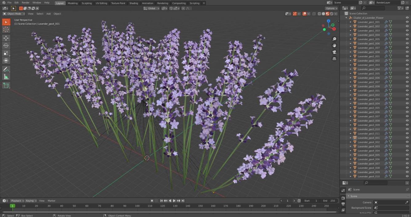 3D Cluster of Lavender Flower