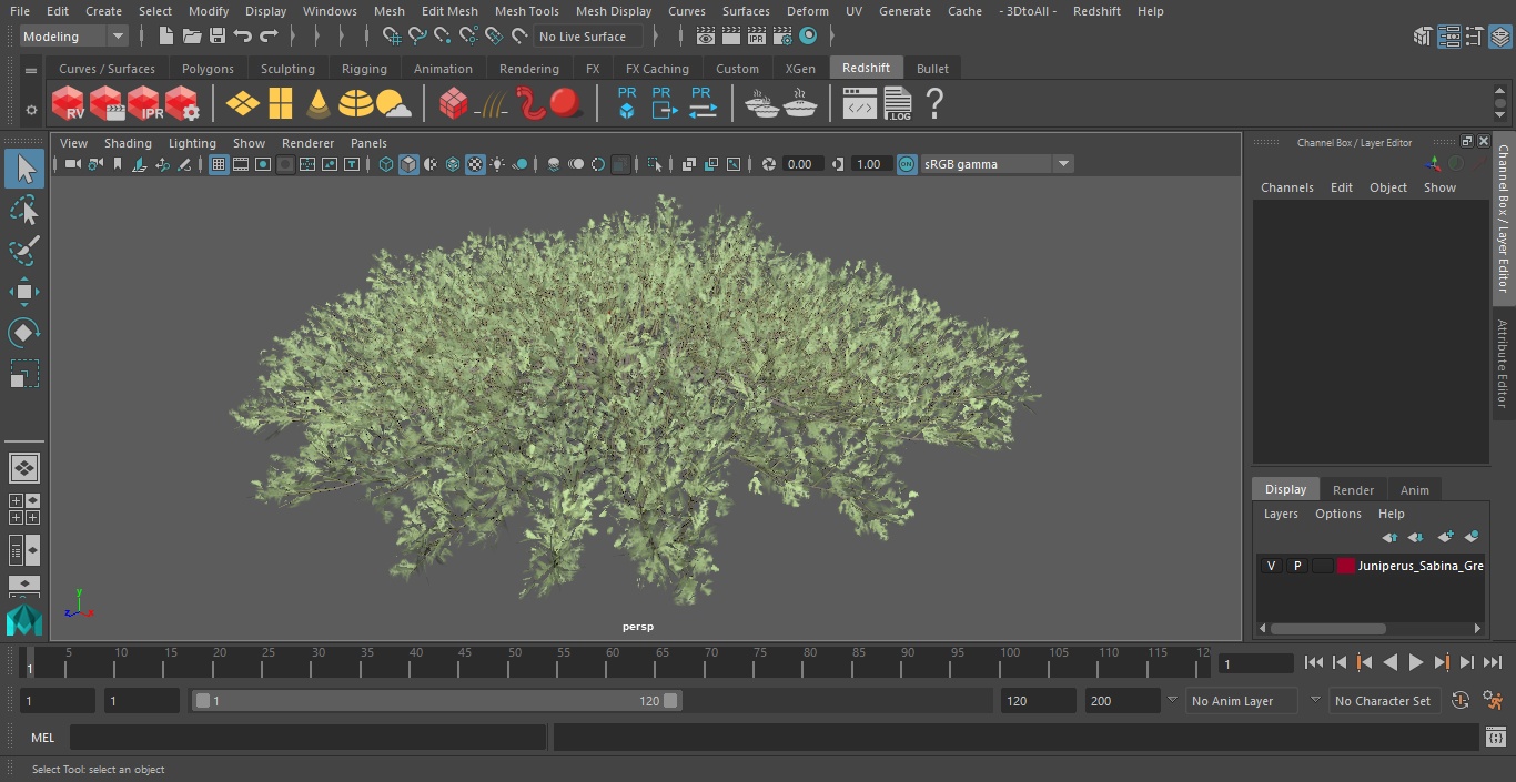 Juniperus Sabina Green 3D