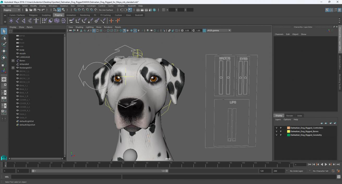 Dalmatian Dog Rigged for Maya 3D model