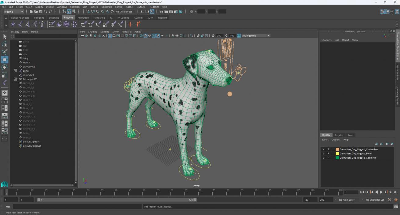 Dalmatian Dog Rigged for Maya 3D model