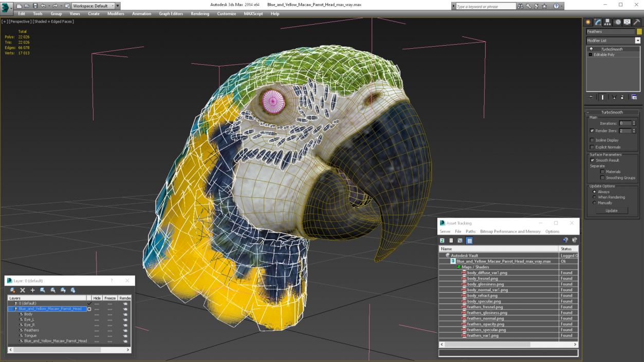 3D Blue and Yellow Macaw Parrot Head model