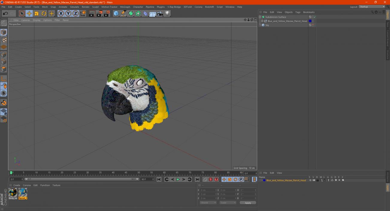 3D Blue and Yellow Macaw Parrot Head model