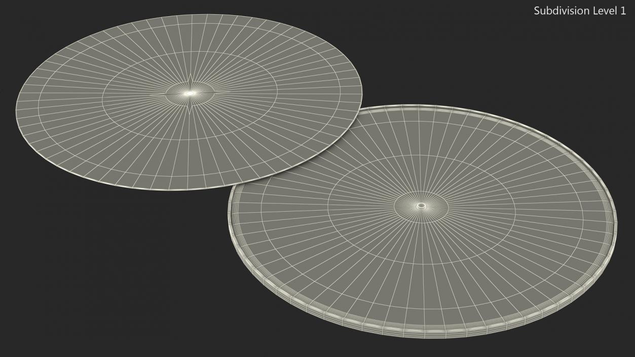 3D Voyager Golden Record