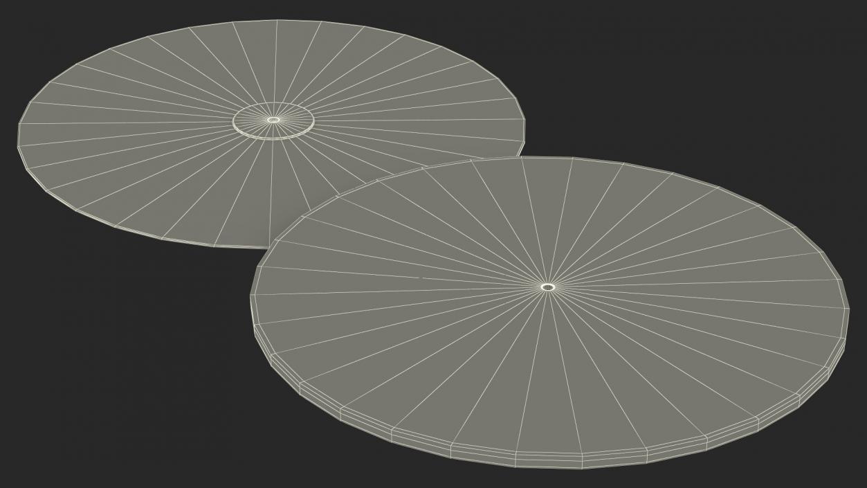 3D Voyager Golden Record