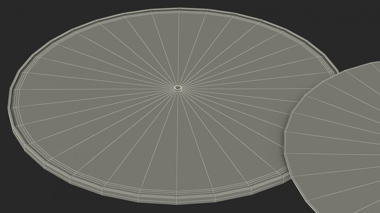 3D Voyager Golden Record