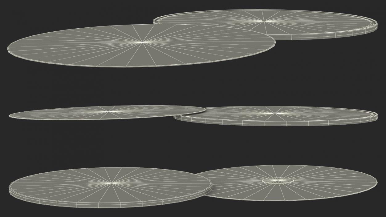 3D Voyager Golden Record