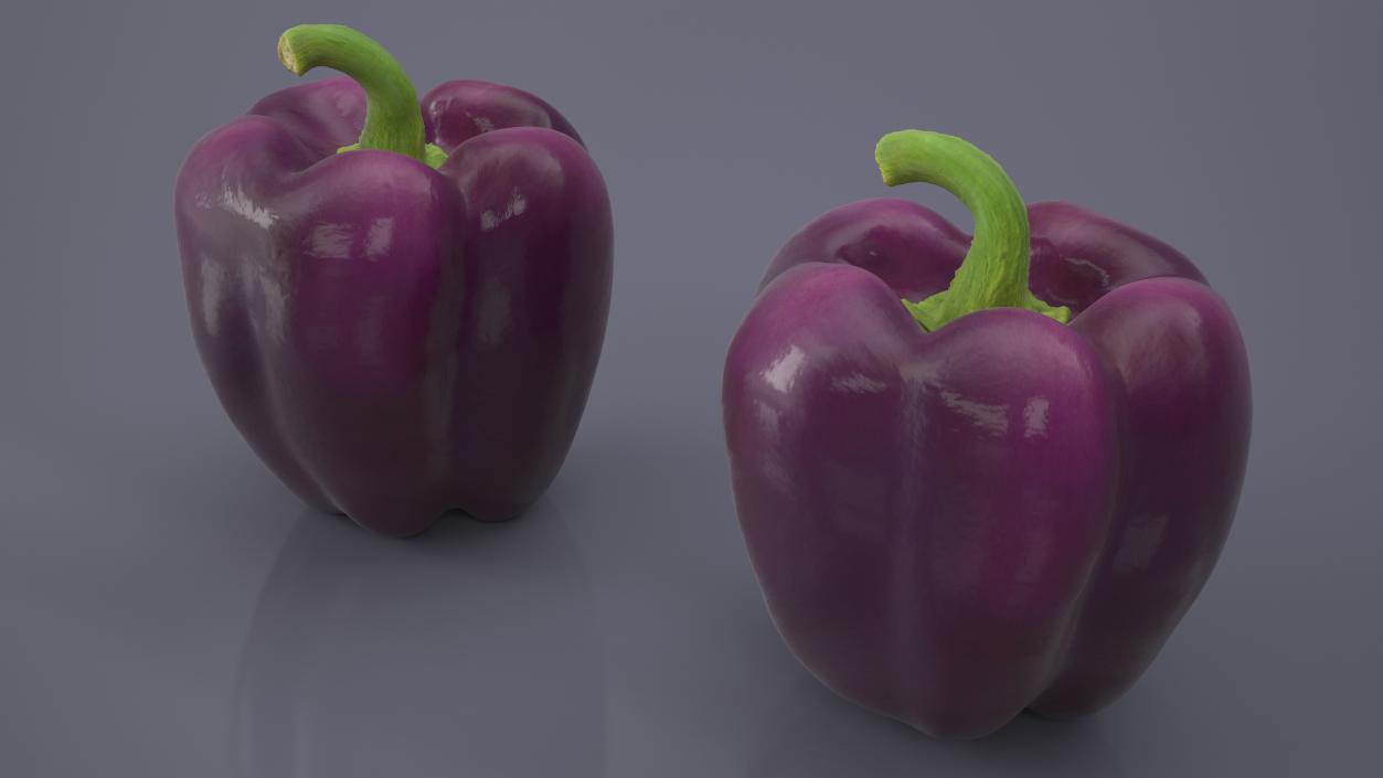 3D model Bell Pepper Purple Beauty