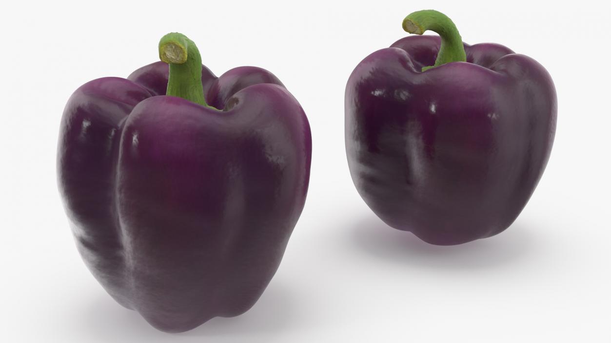 3D model Bell Pepper Purple Beauty