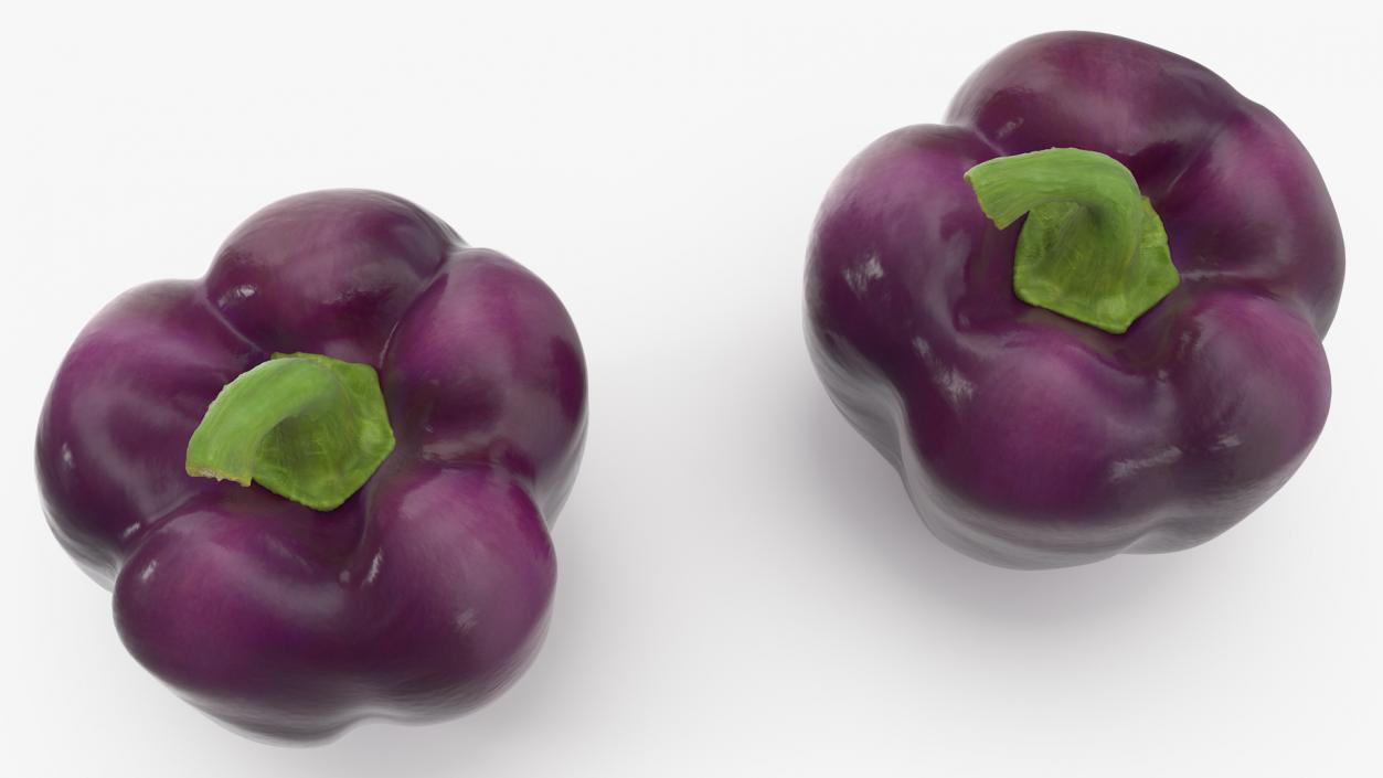 3D model Bell Pepper Purple Beauty