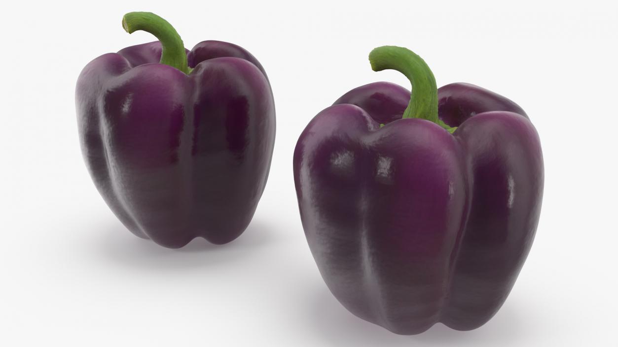 3D model Bell Pepper Purple Beauty