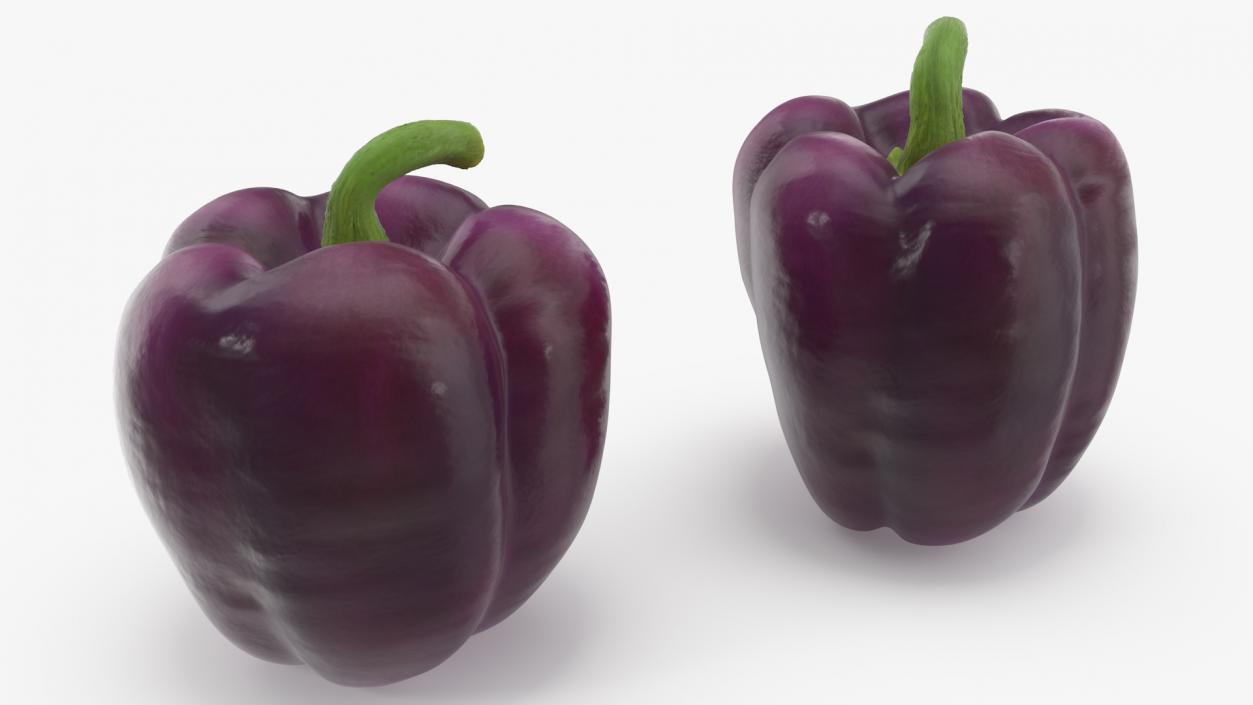 3D model Bell Pepper Purple Beauty