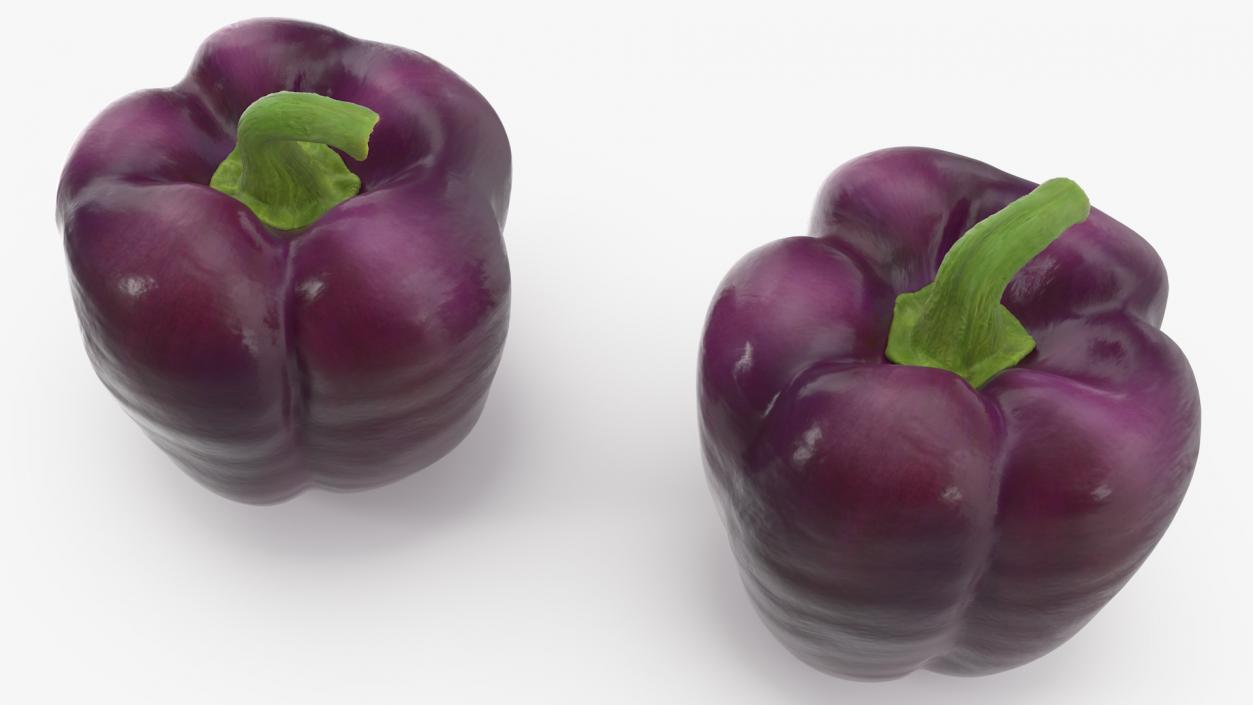 3D model Bell Pepper Purple Beauty