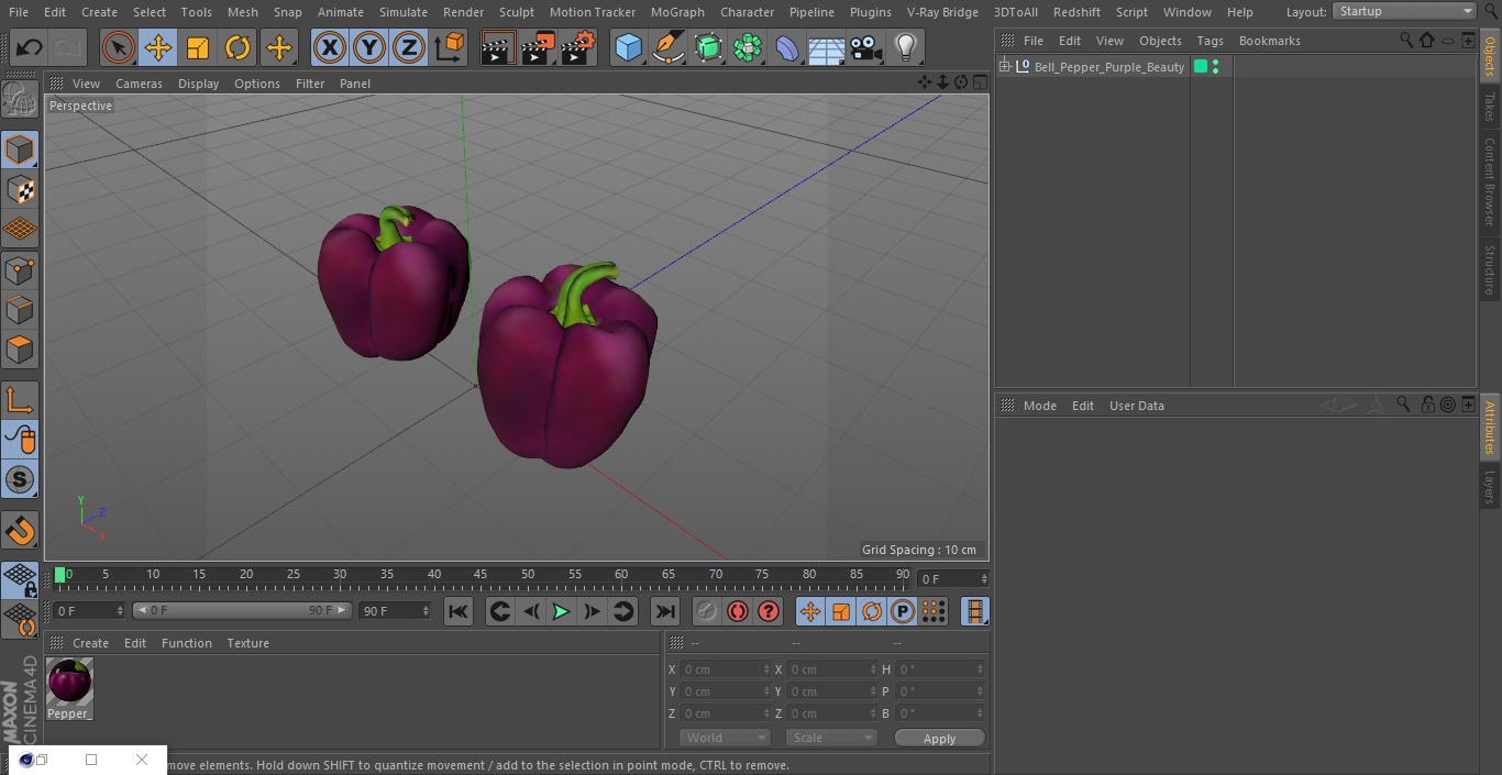 3D model Bell Pepper Purple Beauty