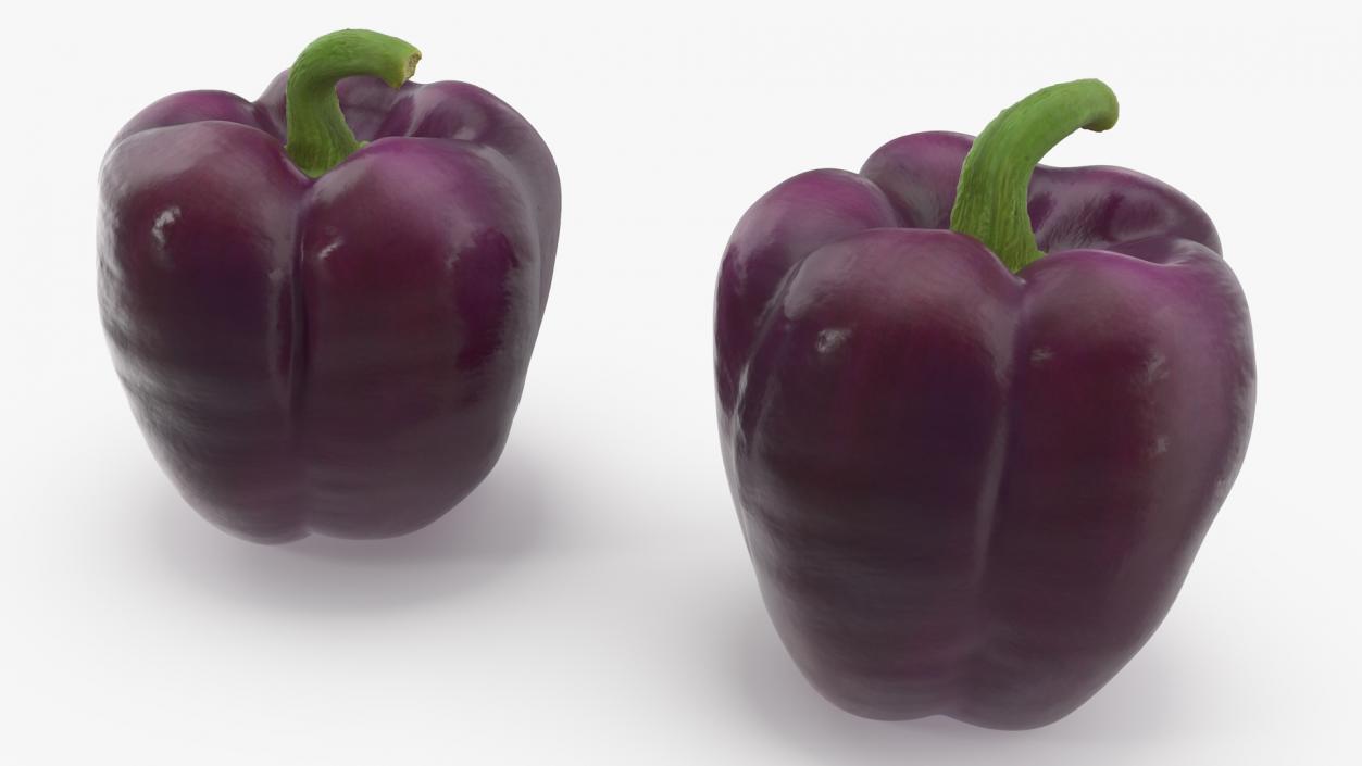 3D model Bell Pepper Purple Beauty