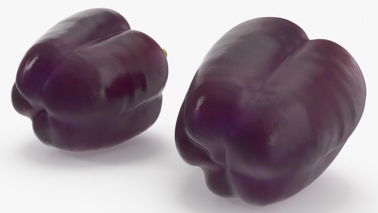 3D model Bell Pepper Purple Beauty