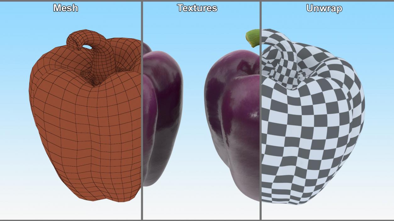 3D model Bell Pepper Purple Beauty