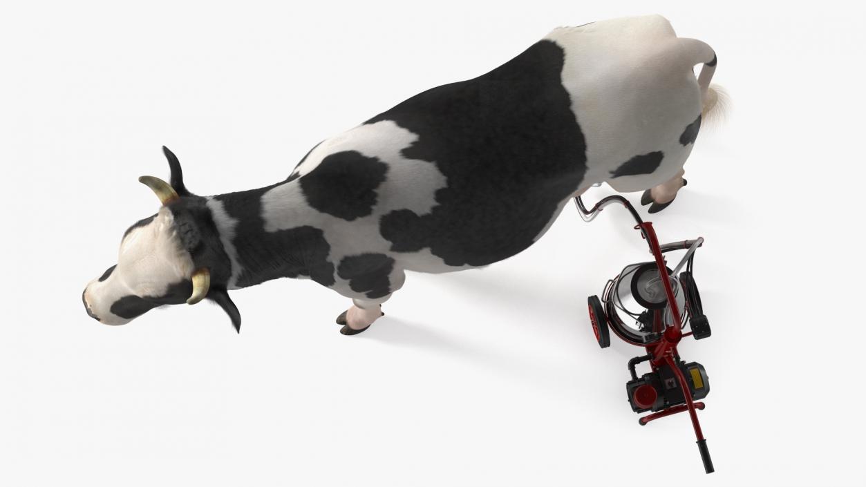 3D Dairy Cow with Milking Machine Rigged Fur