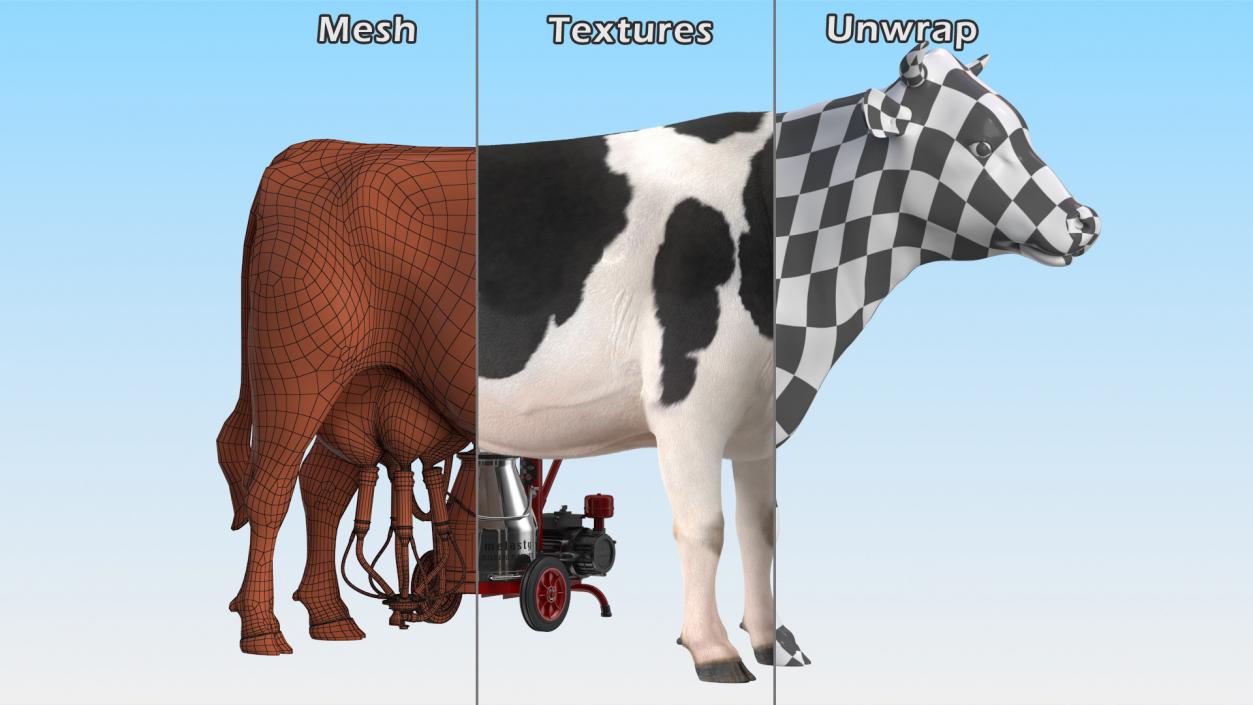 3D Dairy Cow with Milking Machine Rigged Fur