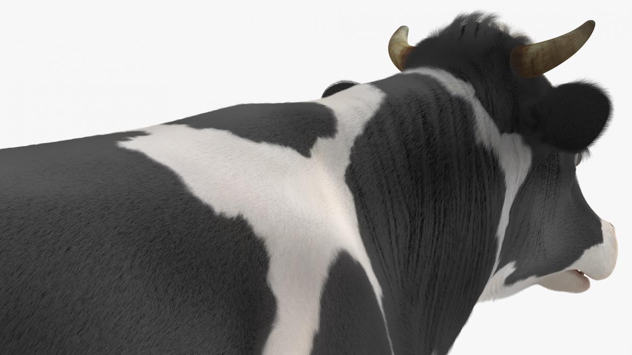 3D Dairy Cow with Milking Machine Rigged Fur