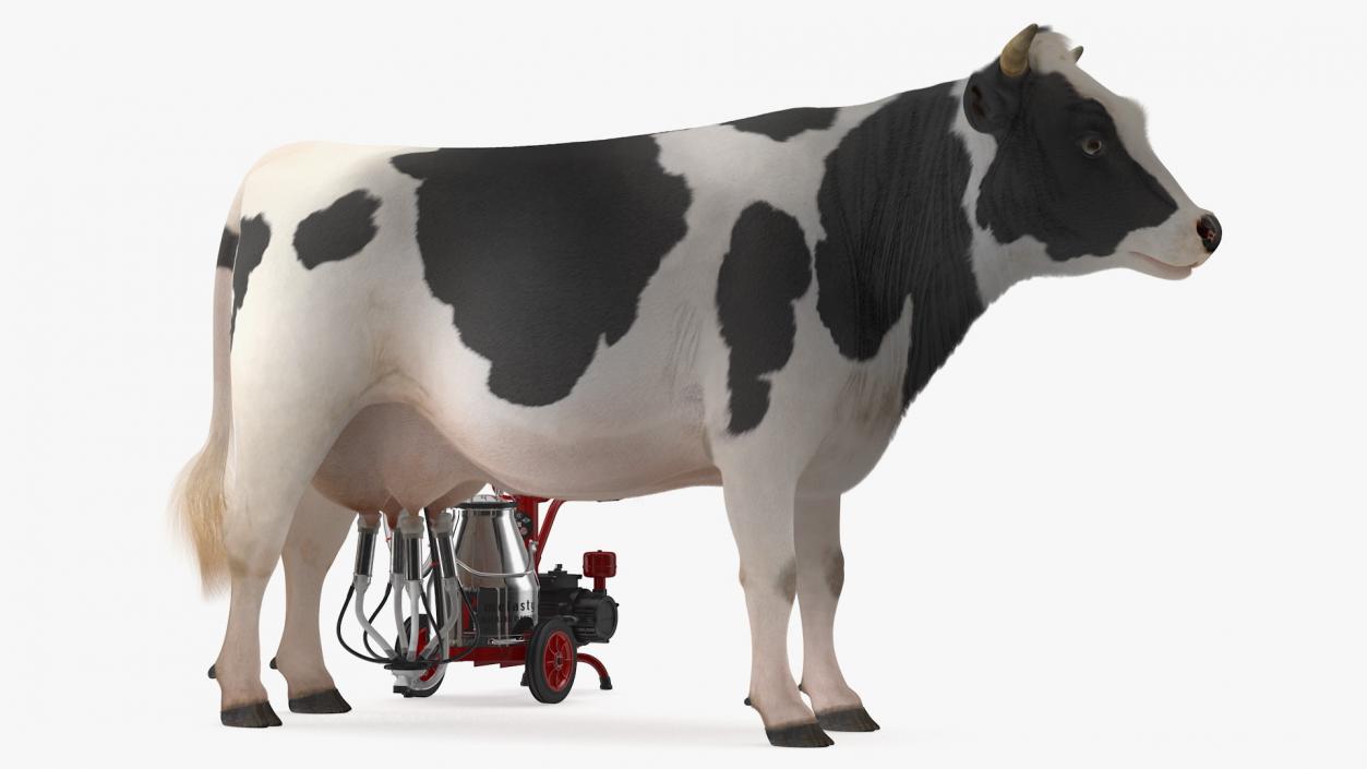 3D Dairy Cow with Milking Machine Rigged Fur