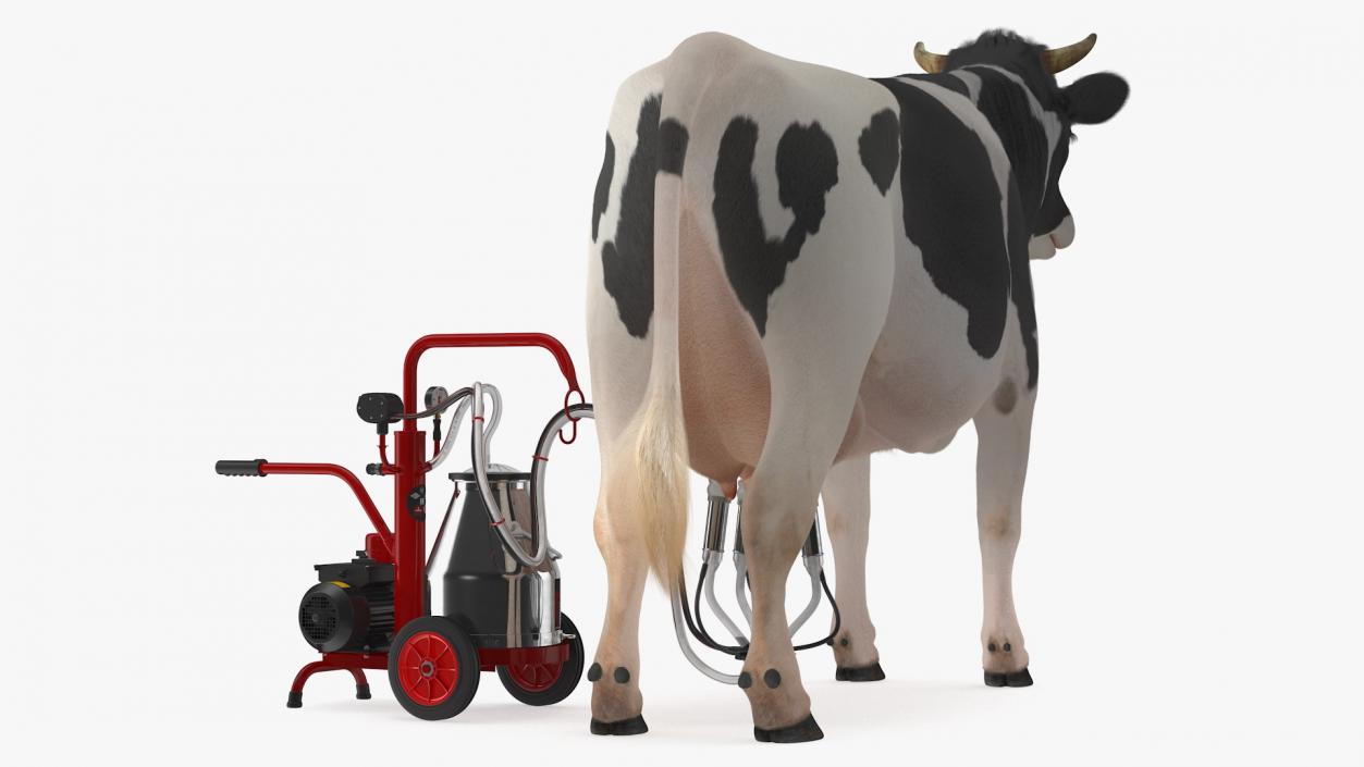 3D Dairy Cow with Milking Machine Rigged Fur