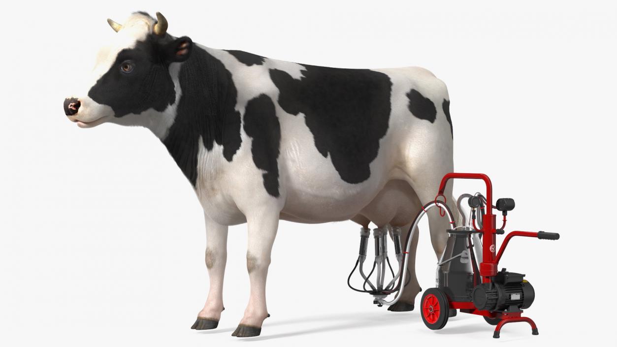 3D Dairy Cow with Milking Machine Rigged Fur