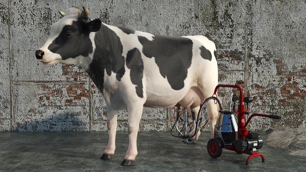 3D Dairy Cow with Milking Machine Rigged Fur