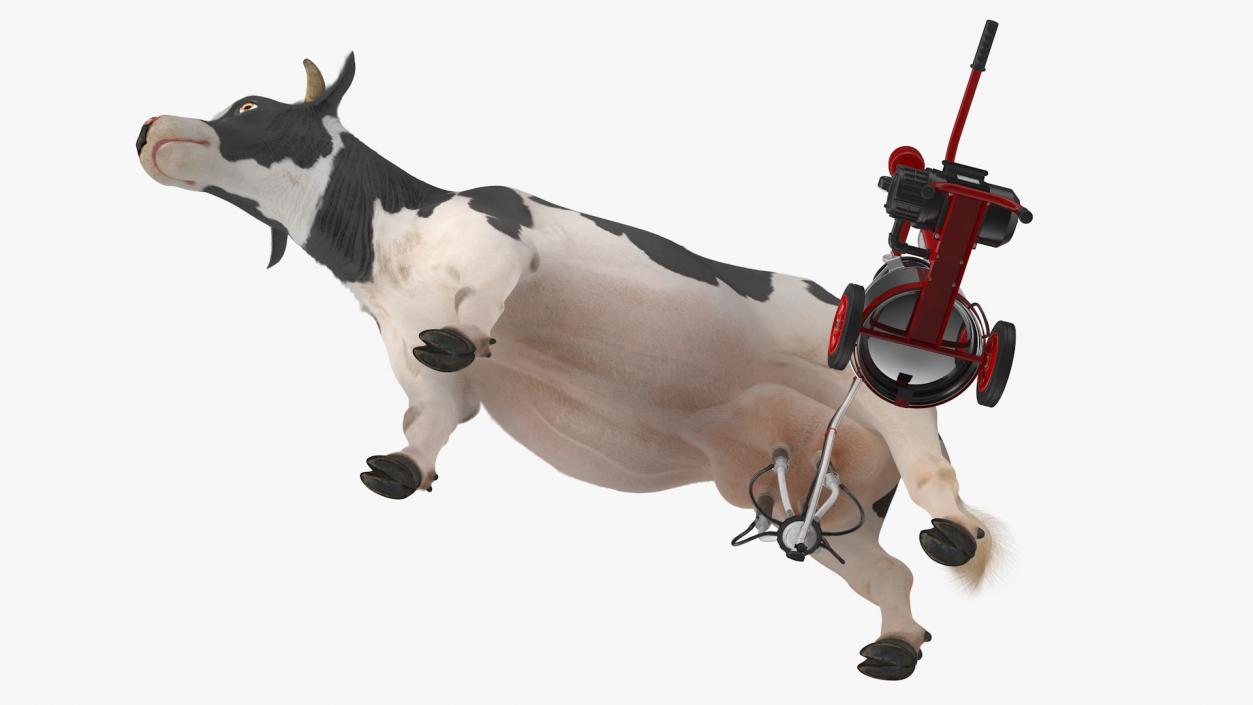 3D Dairy Cow with Milking Machine Rigged Fur