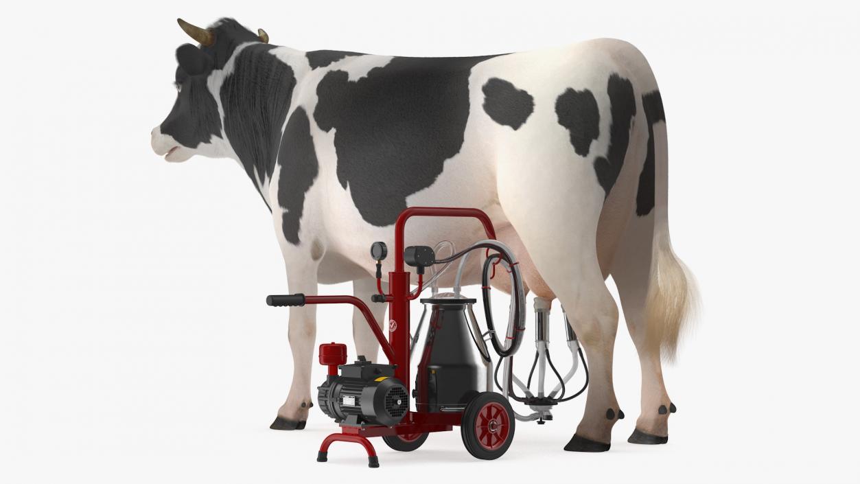 3D Dairy Cow with Milking Machine Rigged Fur