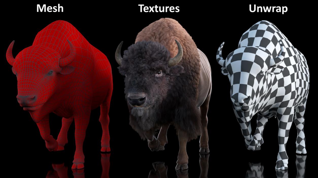 3D Walking American Bison with Fur