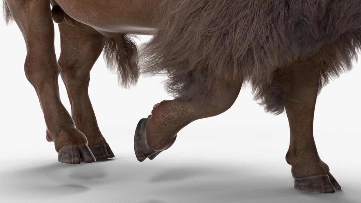 3D Walking American Bison with Fur