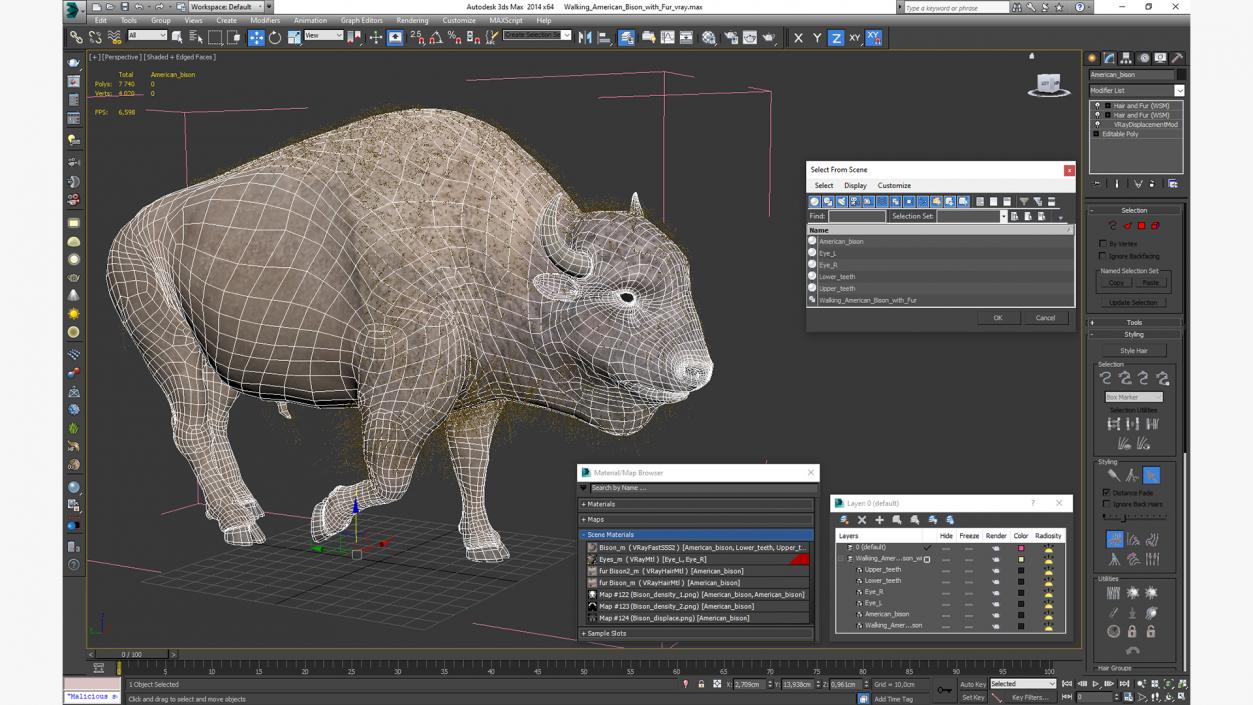 3D Walking American Bison with Fur