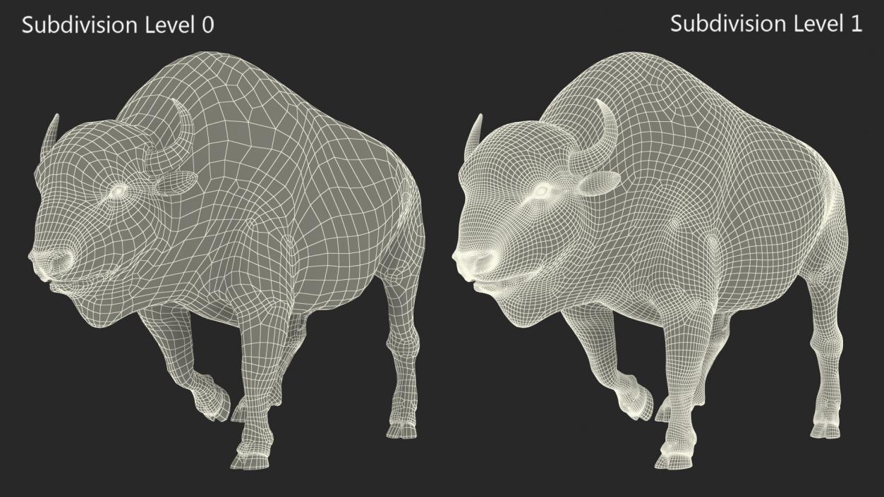 3D Walking American Bison with Fur