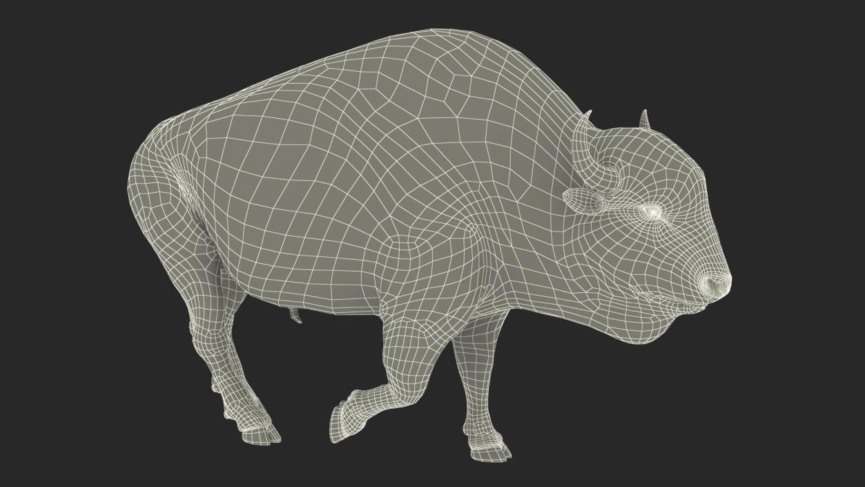 3D Walking American Bison with Fur