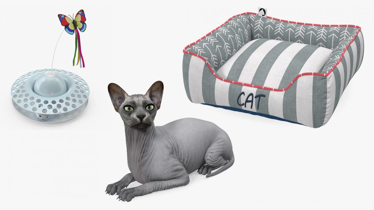 Sphynx Cat with Cat Accessories Collection 3D