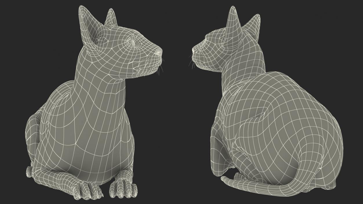 Sphynx Cat with Cat Accessories Collection 3D