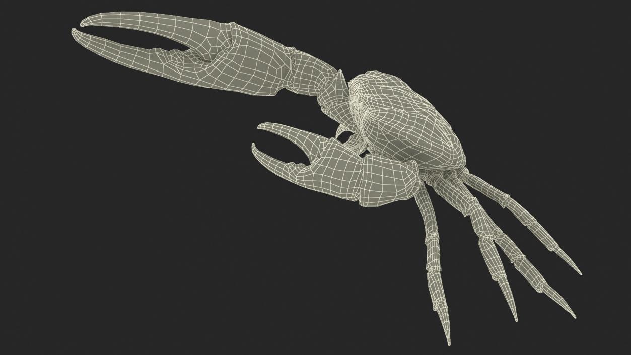 Deepwater Giant Crab Rigged 3D