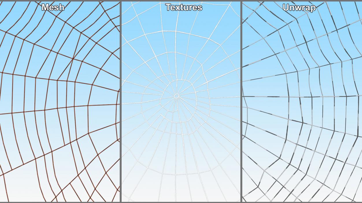 Spider Webs Collection 2 3D model