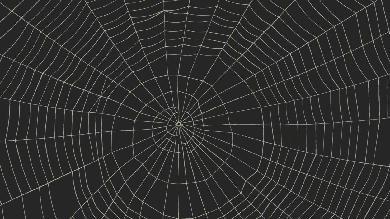 Spider Webs Collection 2 3D model