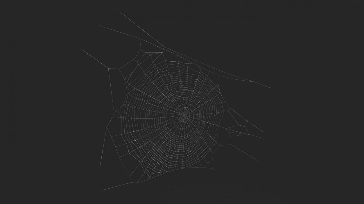 Spider Webs Collection 2 3D model