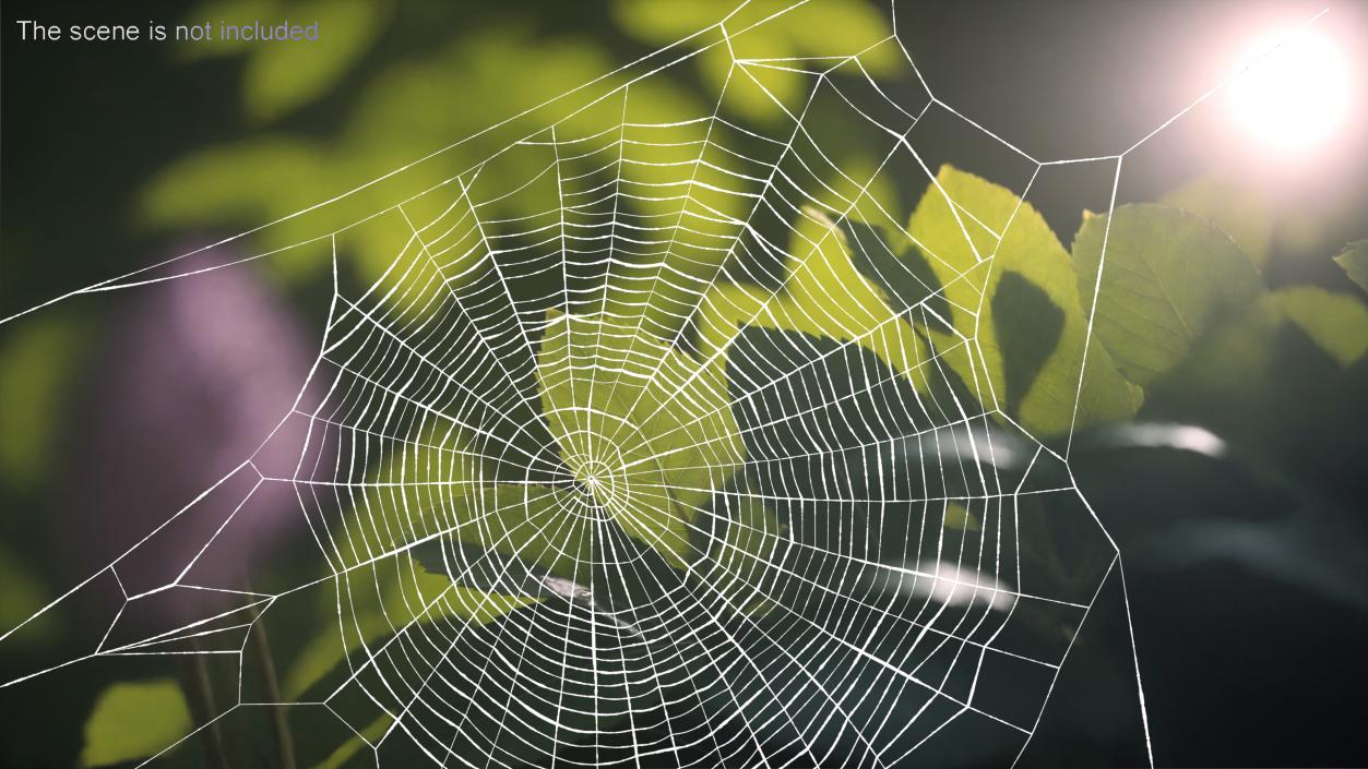 Spider Webs Collection 2 3D model