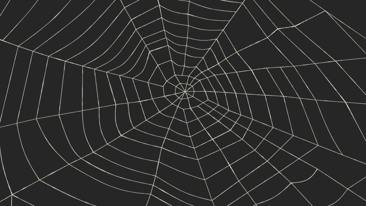 Spider Webs Collection 2 3D model