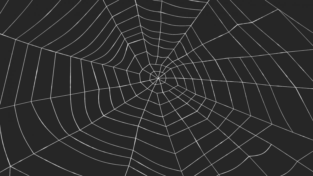 Spider Webs Collection 2 3D model