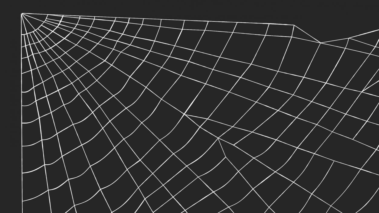 Spider Webs Collection 2 3D model