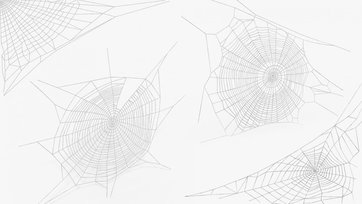 Spider Webs Collection 2 3D model